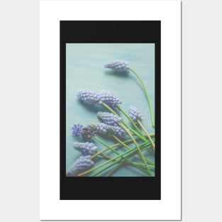 Little Blue Flowers Posters and Art